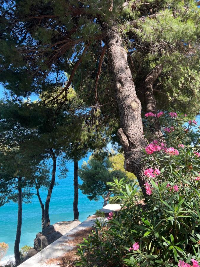 Sunny Breeze Apartment Vlore Luaran gambar